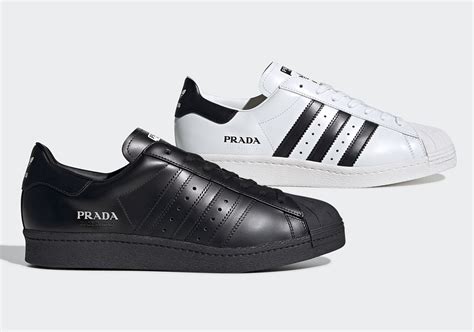 prada adidas superstar